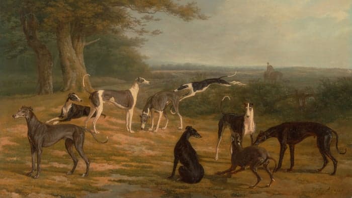 Jacques-Laurent Agasse