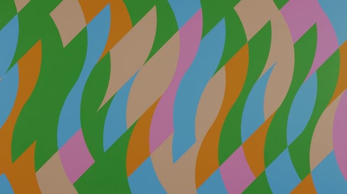 Bridget Riley